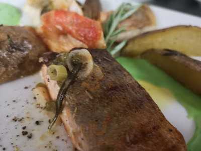 Schlemmernest Im Vogelpark