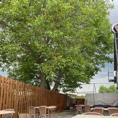 Pizzeria Scalambrino - Grüner Daumen