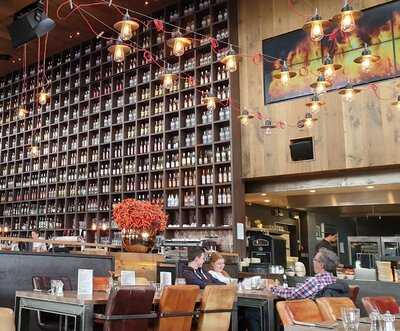 The Ash - Düsseldorf