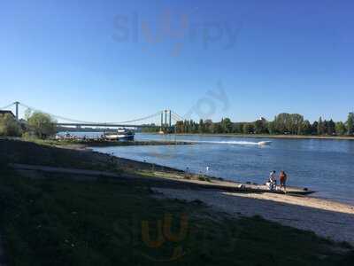 Ms Bootshaus Rodenkirchen