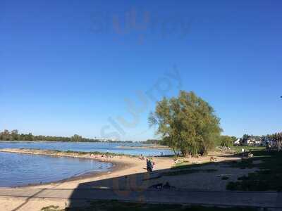 Ms Bootshaus Rodenkirchen