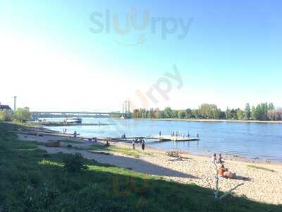 Ms Bootshaus Rodenkirchen