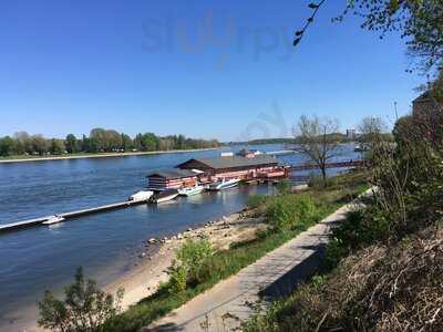 Ms Bootshaus Rodenkirchen