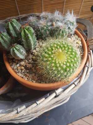 Photo 4