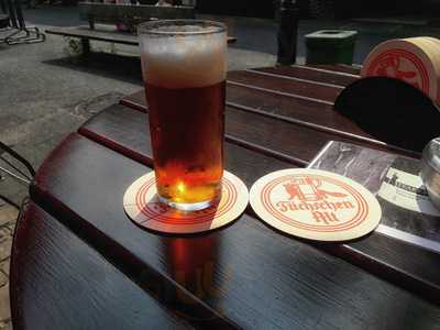 Fuchs Am Klemensplatz