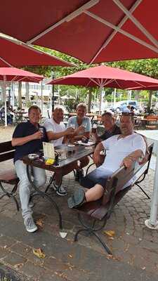 Fuchs Am Klemensplatz