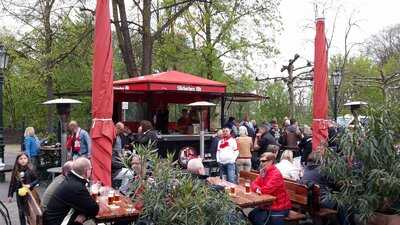 Fuchs Am Klemensplatz