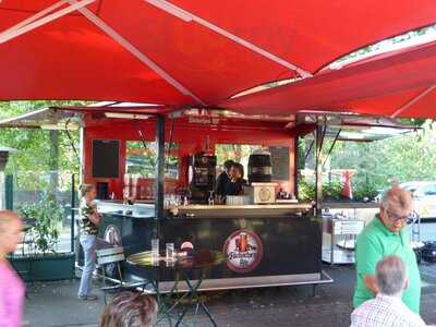 Fuchs Am Klemensplatz