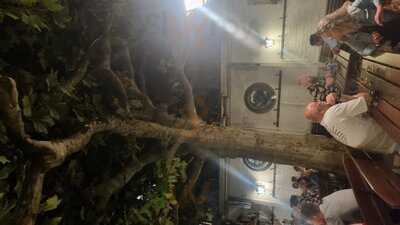 Klaane Sachsehäuser