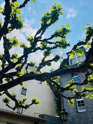 Klaane Sachsehäuser