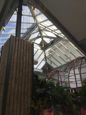 Restaurant Amazonica