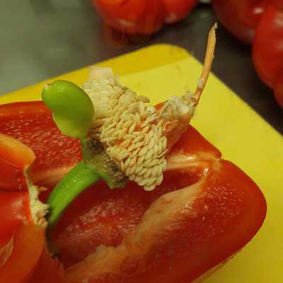 Pizzeria Charlie Braun