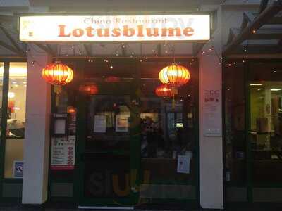 Lotusblume