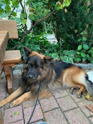 Landgasthof Taubertal