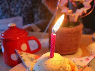 Doppellecker Genussbus