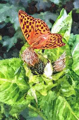 Gaststätte Laufenmühle