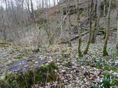 Gaststätte Laufenmühle