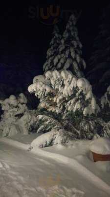 Waldgasthaus Auerhahn