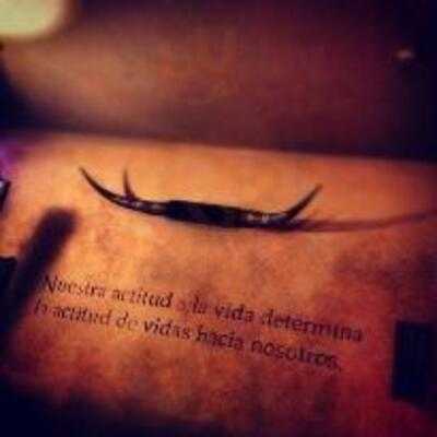 Houstons Fine Burrito Co