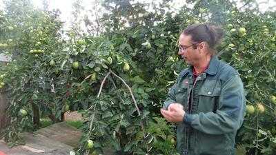 Obsthof Am Steinberg