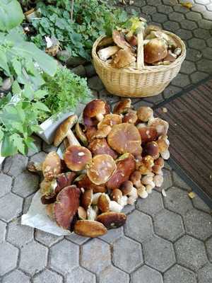 Pizzeria-ristorante Mare E Monti