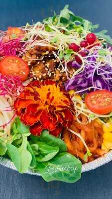 Grillhaus Foodoor Bbq