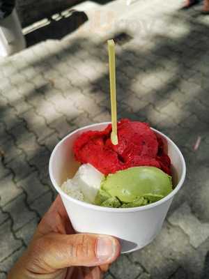 Rosa Canina Organic Icecream