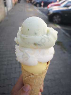 Rosa Canina Organic Icecream