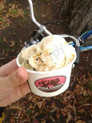 Rosa Canina Organic Icecream