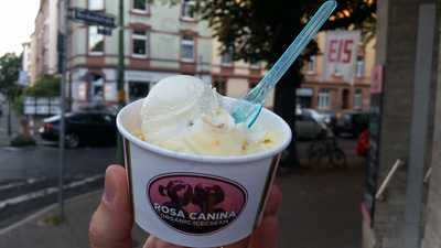 Rosa Canina Organic Icecream