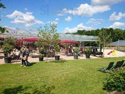 Beim Schecker Im Gadde