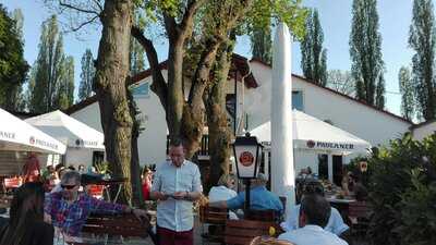 Platzhirsch Wirtshaus Am Main