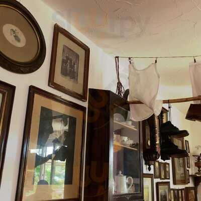 Kuhners Spargelbesen