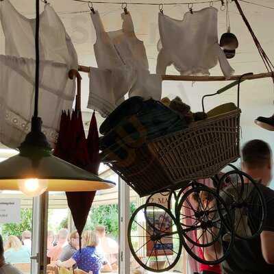 Kuhners Spargelbesen