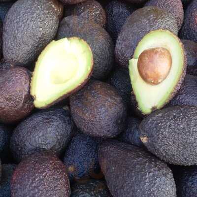 Luise Café & Weinbar