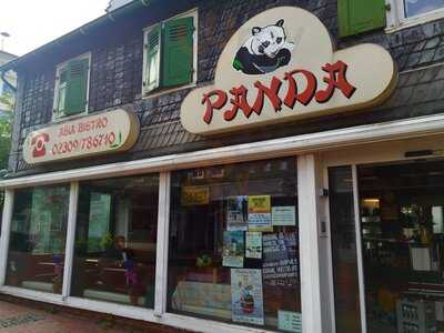 Panda Asia Bistro