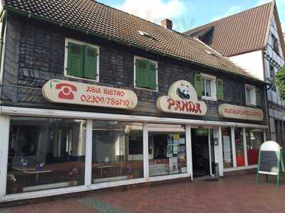 Panda Asia Bistro