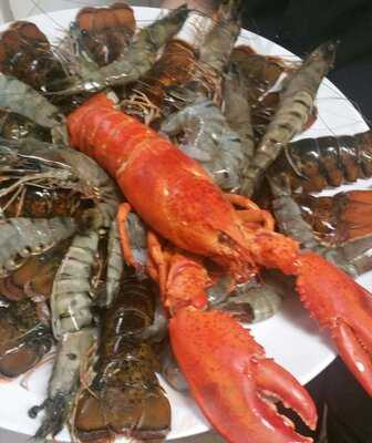 Bootshaus Weißenfels