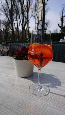 Extratour Zum Alten Rhein