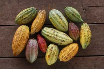 Café Nikan Düsseldorf