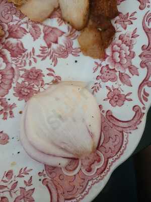 Der Schnelle Grieche