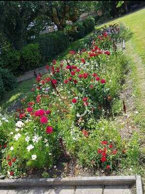 Ratskeller Zur Linde Markkleeberg