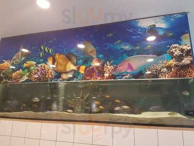 Fisch Paradies Et Fesch Hus