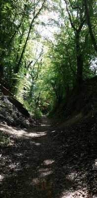 Toscano By Antonio T