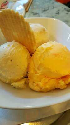 Kookaburra Die Eisvögel