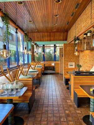 Peacock - Green Deli