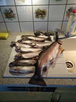 Forellenhof Trauntal