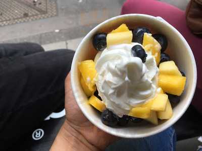 Foxberry Frozen Yogurt