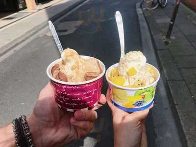 Foxberry Frozen Yogurt