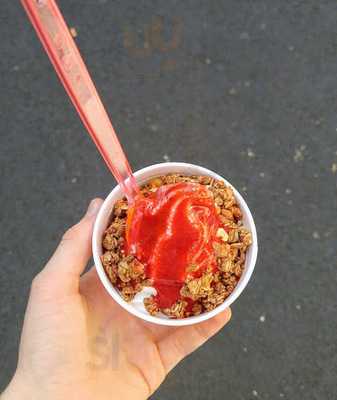 Foxberry Frozen Yogurt